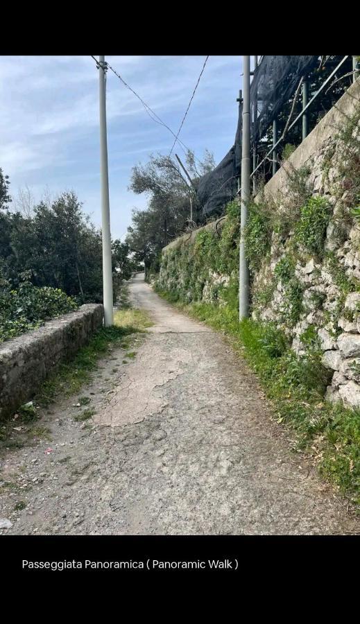 La Scivitella Villa Amalfi Exteriör bild